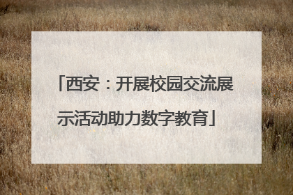 西安：开展校园交流展示活动助力数字教育