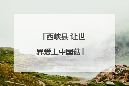西峡县 让世界爱上中国菇