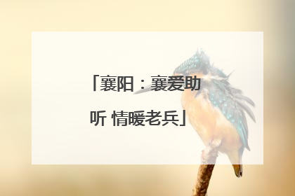 襄阳：襄爱助听 情暖老兵