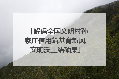 解码全国文明村孙家庄信用筑基育新风文明沃土结硕果