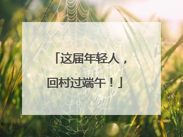 这届年轻人，回村过端午！