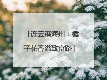 连云港海州：栀子花香溢致富路
