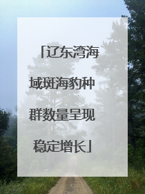 辽东湾海域斑海豹种群数量呈现稳定增长