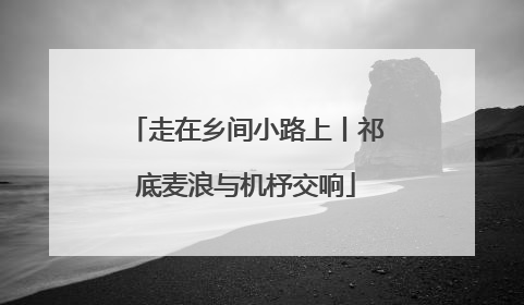 走在乡间小路上丨祁底麦浪与机杼交响