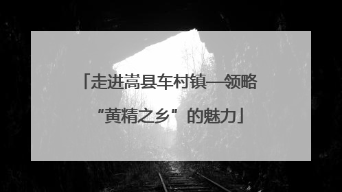 走进嵩县车村镇—领略“黄精之乡”的魅力