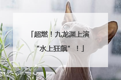 超燃！九龙渊上演“水上狂飙”！