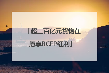 超三百亿元货物在厦享RCEP红利