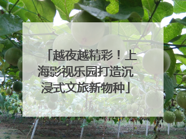 越夜越精彩！上海影视乐园打造沉浸式文旅新物种