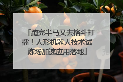 跑完半马又去格斗打擂！人形机器人技术试炼场加速应用落地
