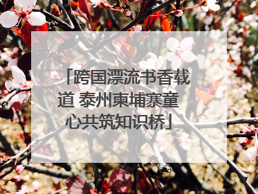 跨国漂流书香载道 泰州柬埔寨童心共筑知识桥