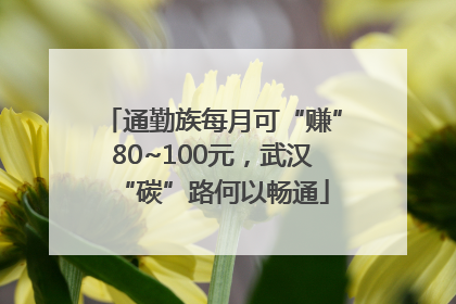 通勤族每月可“赚”80~100元，武汉“碳”路何以畅通