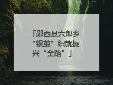 郧西县六郎乡“银茧”织就振兴“金路”