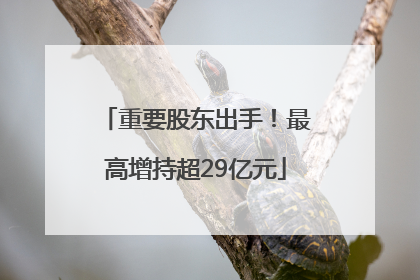 重要股东出手！最高增持超29亿元