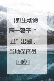 野生动物园一猴子“丑”出圈，当地保育员回应
