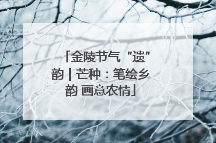 金陵节气“遗”韵｜芒种：笔绘乡韵 画意农情