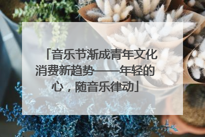 音乐节渐成青年文化消费新趋势——年轻的心，随音乐律动