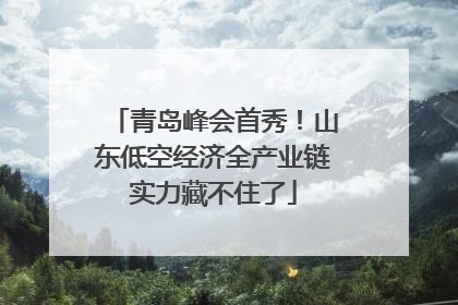 青岛峰会首秀！山东低空经济全产业链实力藏不住了