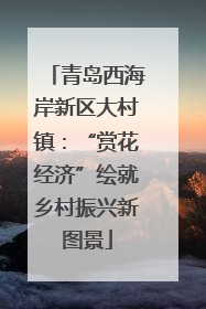青岛西海岸新区大村镇：“赏花经济”绘就乡村振兴新图景