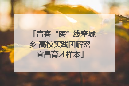 青春“医”线牵城乡 高校实践团解密宜昌育才样本
