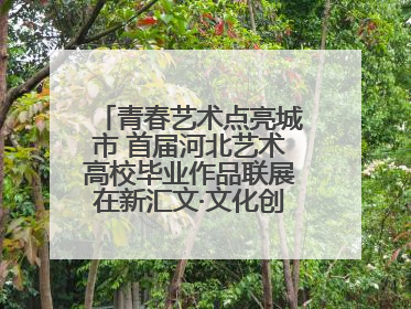 青春艺术点亮城市 首届河北艺术高校毕业作品联展在新汇文·文化创意体验中心开幕