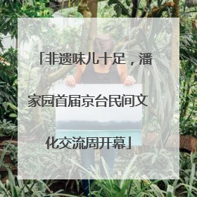 非遗味儿十足，潘家园首届京台民间文化交流周开幕
