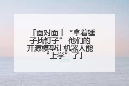面对面丨“拿着锤子找钉子” 他们的开源模型让机器人能“上学”了