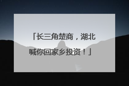 长三角楚商，湖北喊你回家乡投资！
