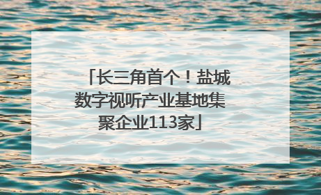 长三角首个！盐城数字视听产业基地集聚企业113家