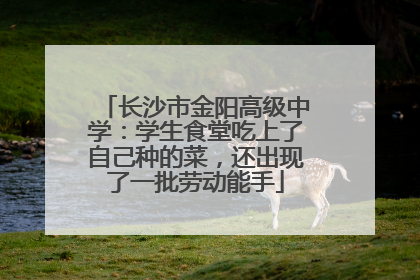 长沙市金阳高级中学：学生食堂吃上了自己种的菜，还出现了一批劳动能手