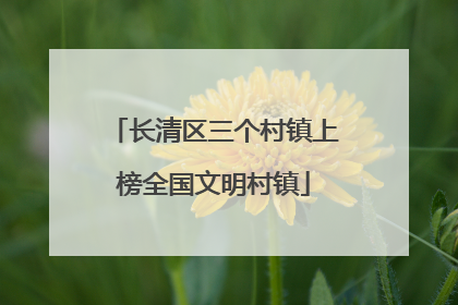 长清区三个村镇上榜全国文明村镇