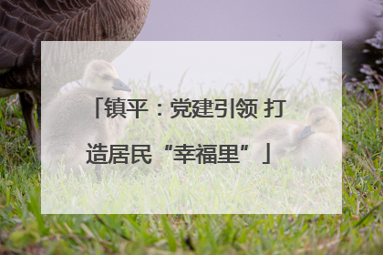 镇平：党建引领 打造居民“幸福里”