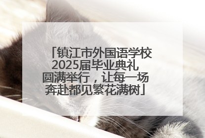 镇江市外国语学校2025届毕业典礼圆满举行，让每一场奔赴都见繁花满树