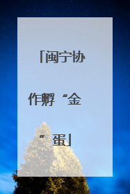 闽宁协作孵“金”蛋