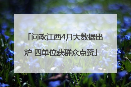 问政江西4月大数据出炉 四单位获群众点赞