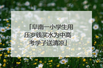 阜南一小学生用压岁钱买水为中高考学子送清凉
