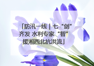 防汛一线｜七“剑”齐发 水利专家“智”援湘西北抗洪流