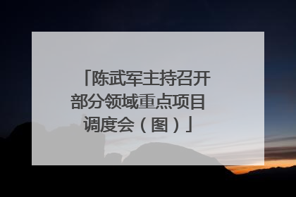 陈武军主持召开部分领域重点项目调度会（图）