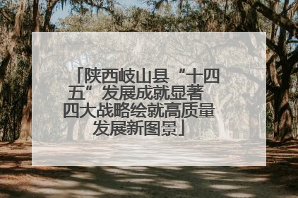 陕西岐山县“十四五”发展成就显著 四大战略绘就高质量发展新图景