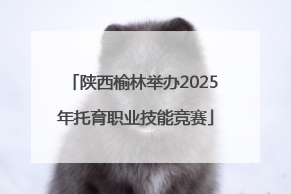 陕西榆林举办2025年托育职业技能竞赛