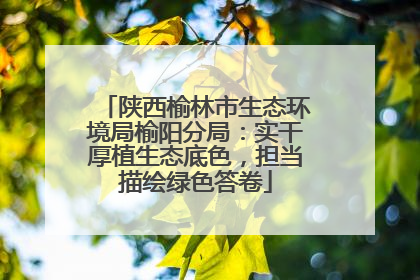 陕西榆林市生态环境局榆阳分局：实干厚植生态底色，担当描绘绿色答卷