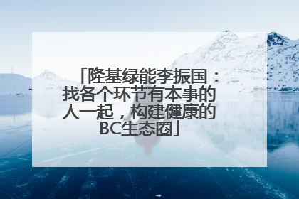 隆基绿能李振国：找各个环节有本事的人一起，构建健康的BC生态圈