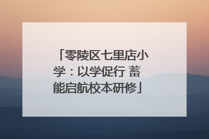 零陵区七里店小学：以学促行 蓄能启航校本研修
