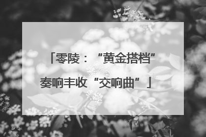 零陵：“黄金搭档”奏响丰收“交响曲”