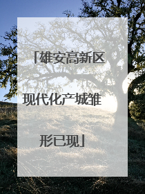雄安高新区现代化产城雏形已现