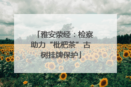 雅安荥经：检察助力“枇杷茶”古树挂牌保护