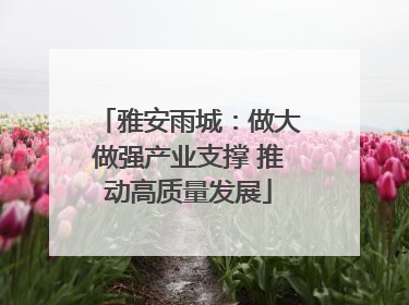 雅安雨城：做大做强产业支撑 推动高质量发展