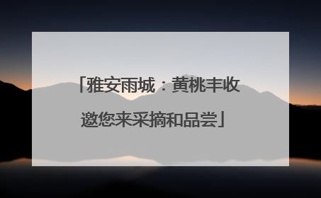 雅安雨城：黄桃丰收 邀您来采摘和品尝