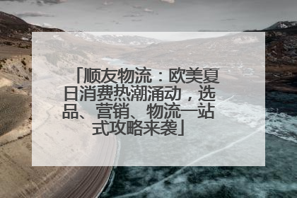 顺友物流：欧美夏日消费热潮涌动，选品、营销、物流一站式攻略来袭