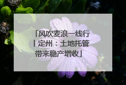 风吹麦浪一线行丨定州：土地托管带来稳产增收