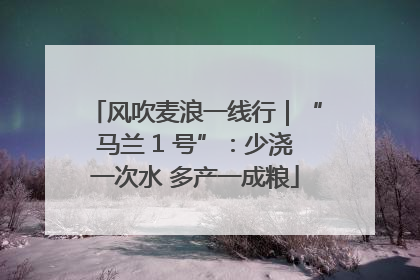 风吹麦浪一线行｜“马兰 1 号”：少浇一次水 多产一成粮